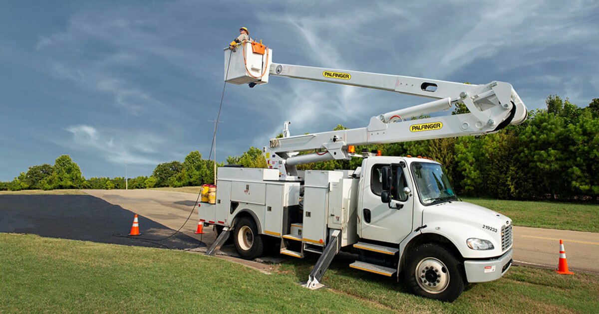 Grua con Canastilla Grua con Canastilla